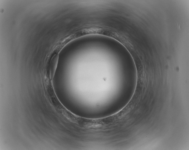 X0000080750743200612151314