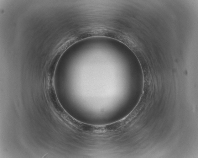 X0000080750744200612151314