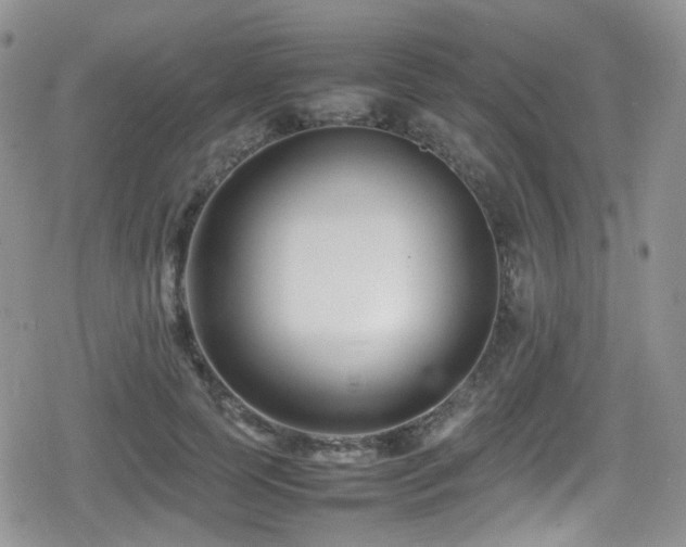 X0000080750745200612151314