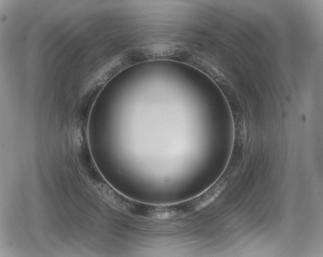 X0000080750746200612151314