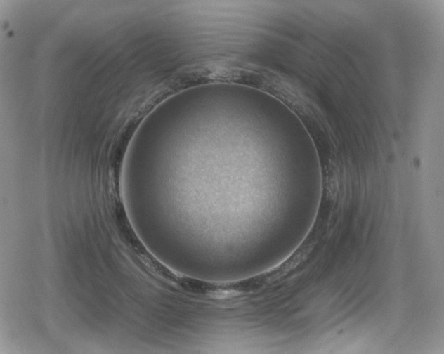 X0000080750748200612151314