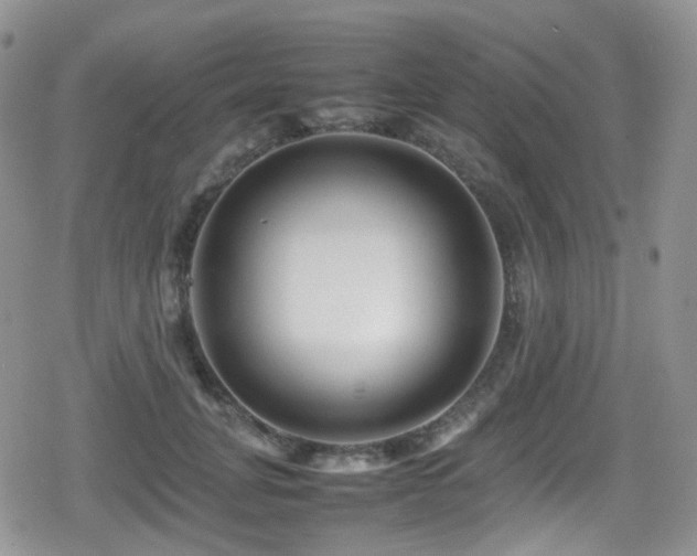X0000080750751200612151314