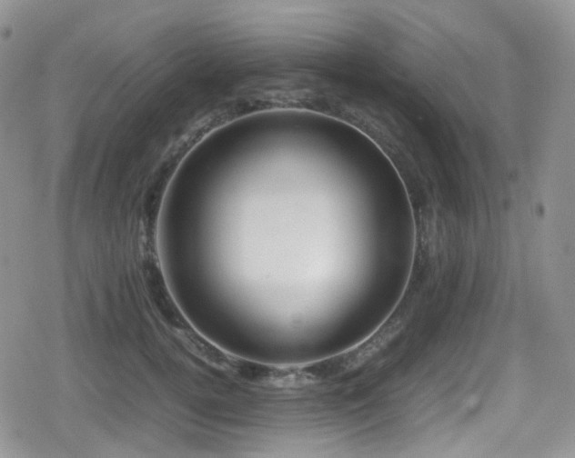 X0000080750752200612151314