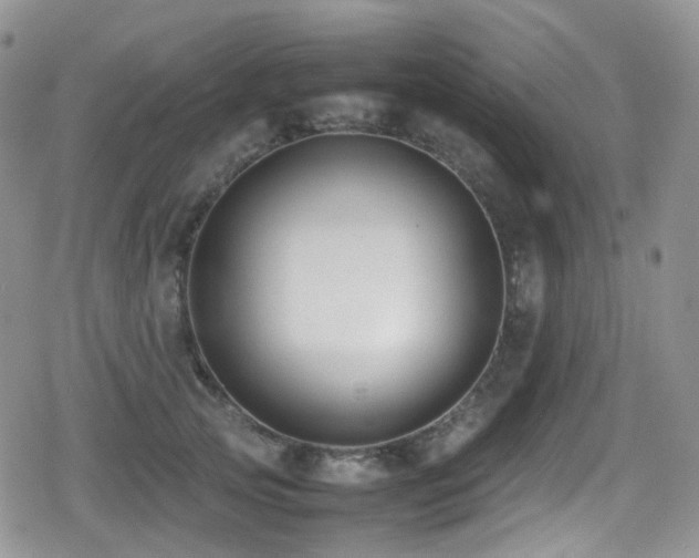 X0000080750753200612151314
