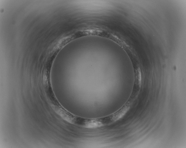 X0000080750754200612151314