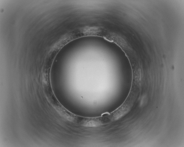 X0000080750755200612151314