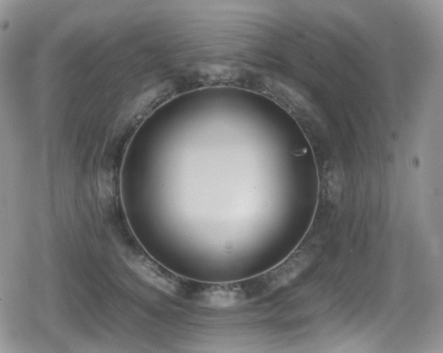 X0000080750756200612151314