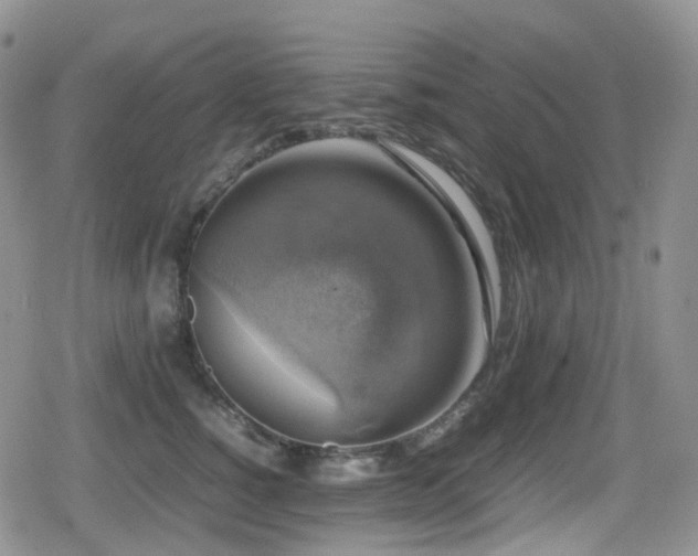 X0000080750760200612151314
