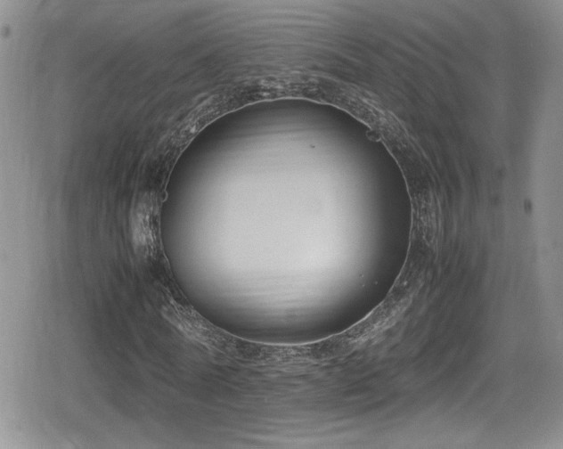 X0000080750770200612151313