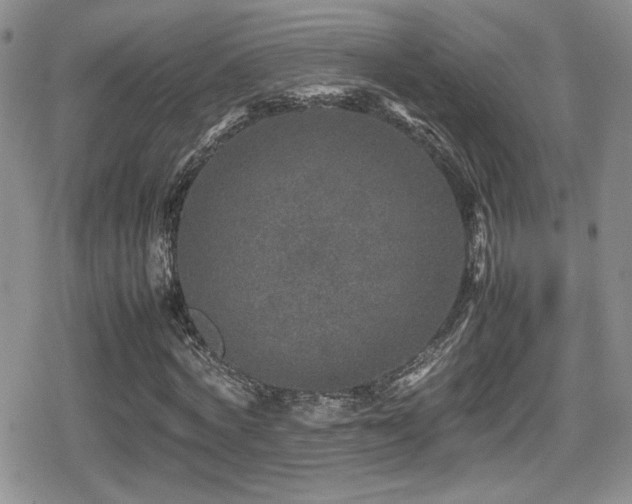 X0000080750772200612151313
