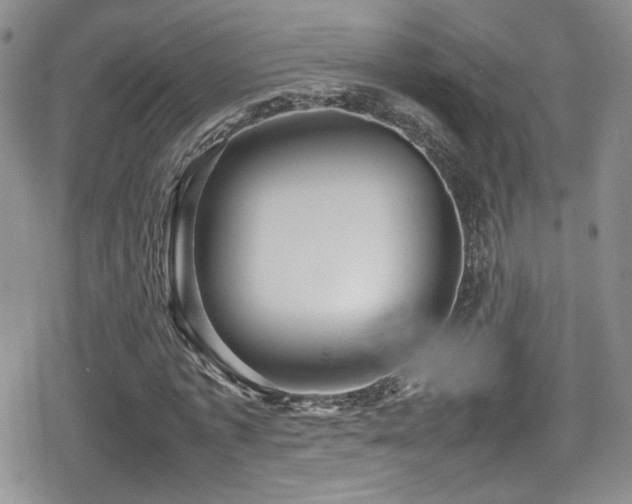 X0000080750773200612151313