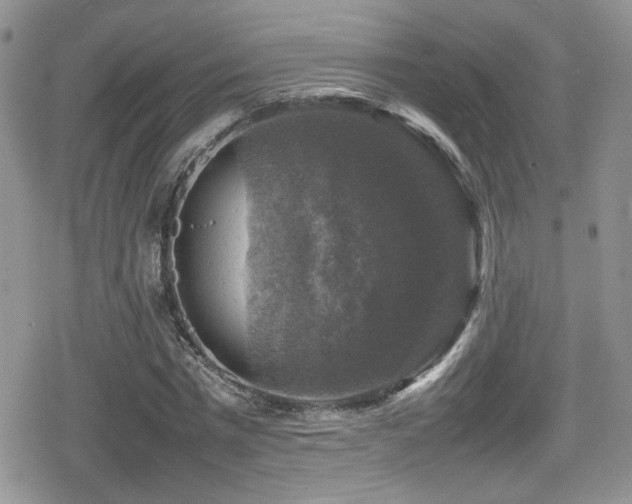 X0000080750777200612151313