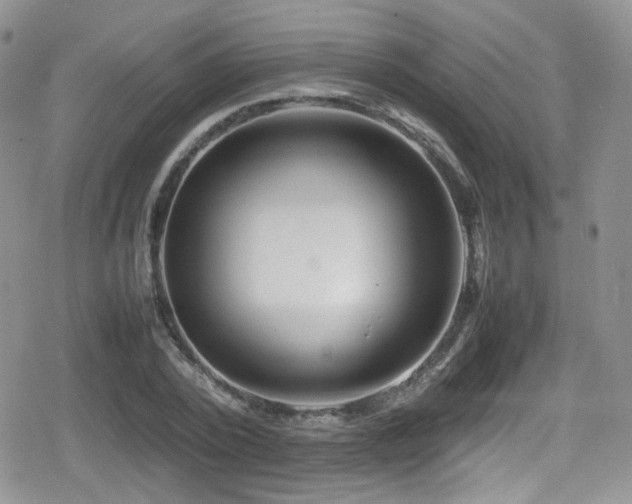 X0000080750784200612151313