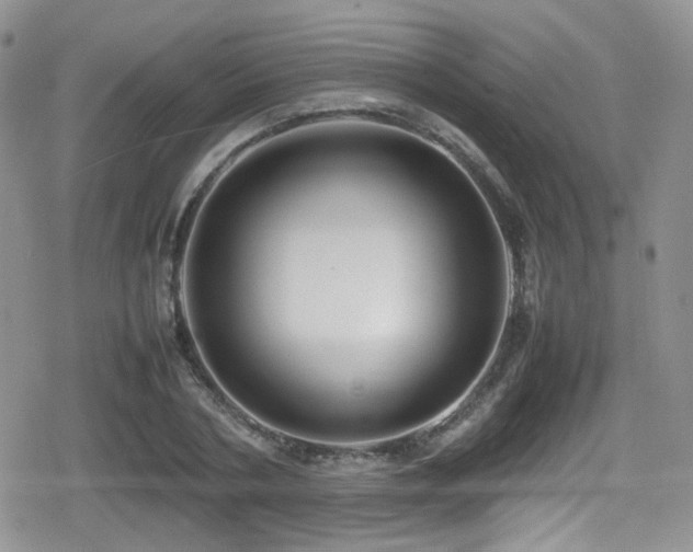 X0000080750786200612151313