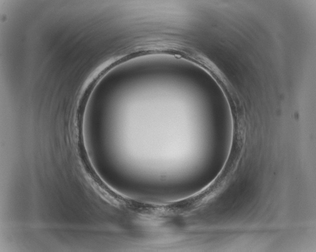X0000080750787200612151313