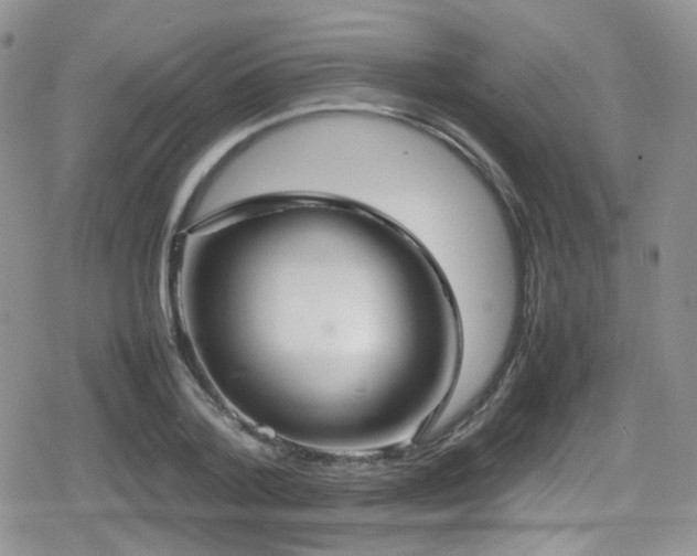 X0000080750788200612151313