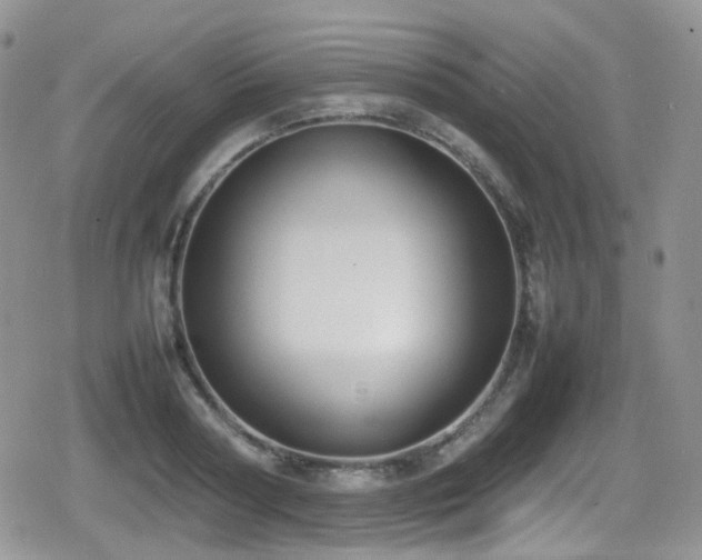 X0000080750794200612151313
