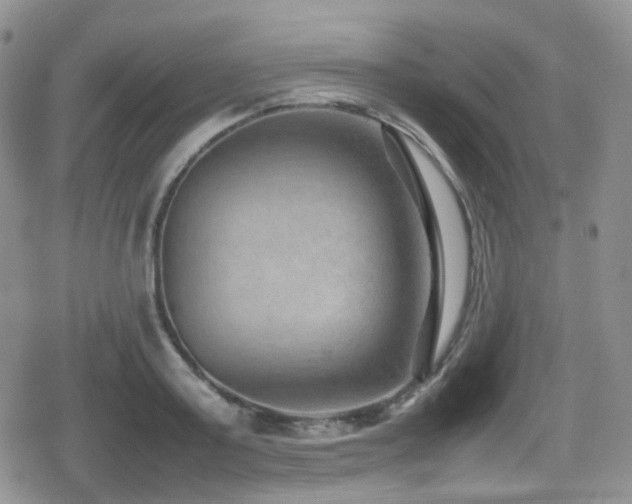 X0000080750795200612151313