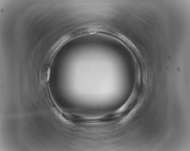 X0000080750801200612151313