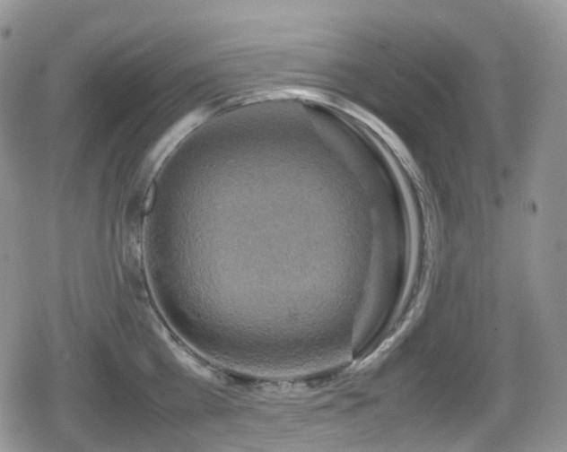 X0000080750809200612151313