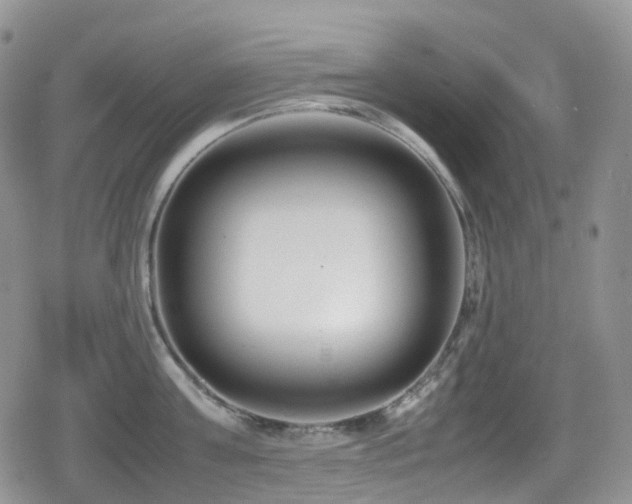X0000080750811200612151313