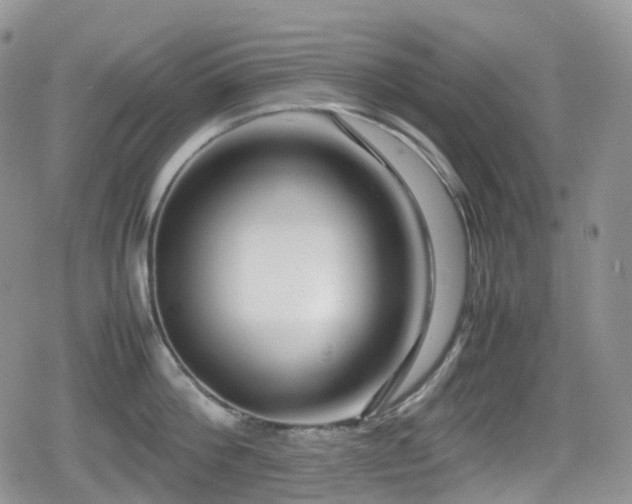 X0000080750812200612151313