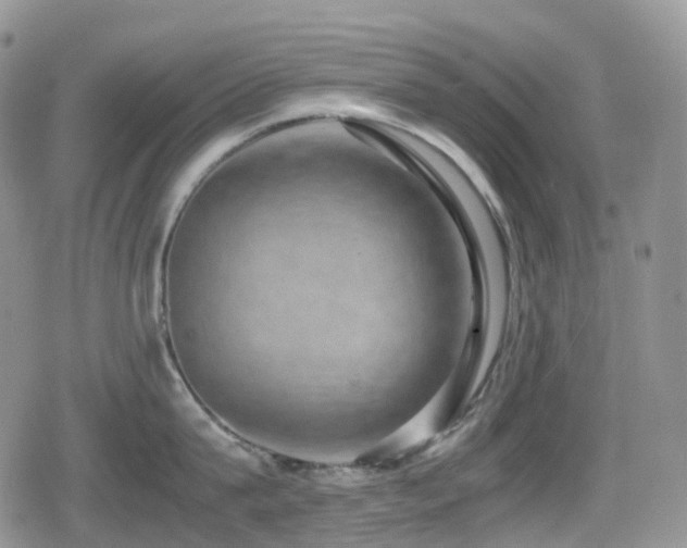 X0000080750815200612151313