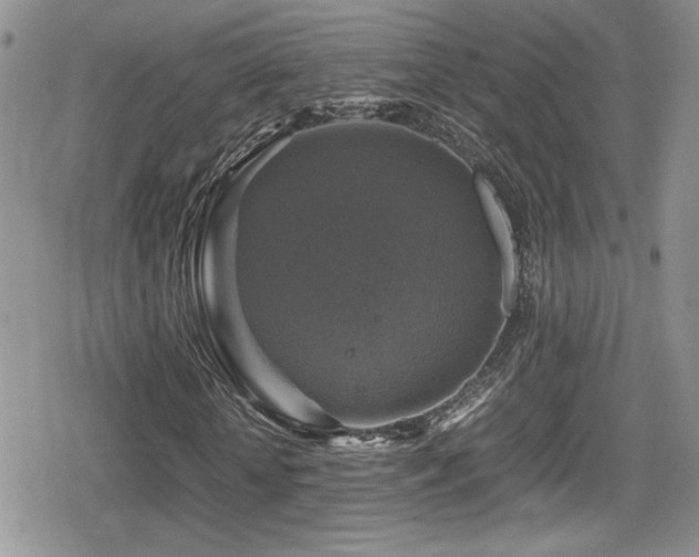 X0000080750818200612151312