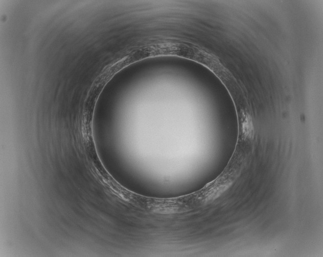 X0000080750819200612151312