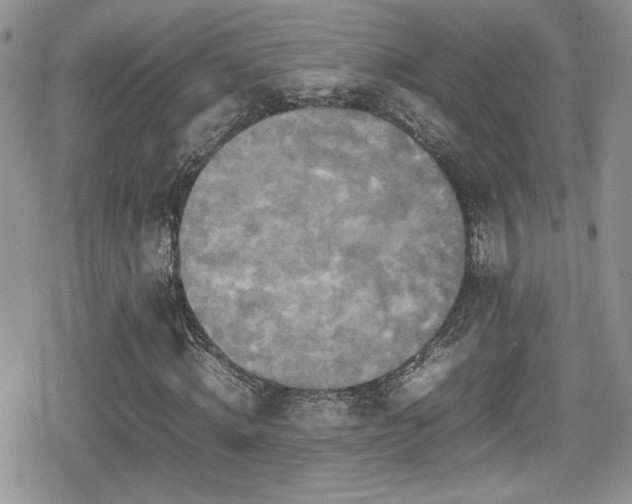 X0000080750820200612151312