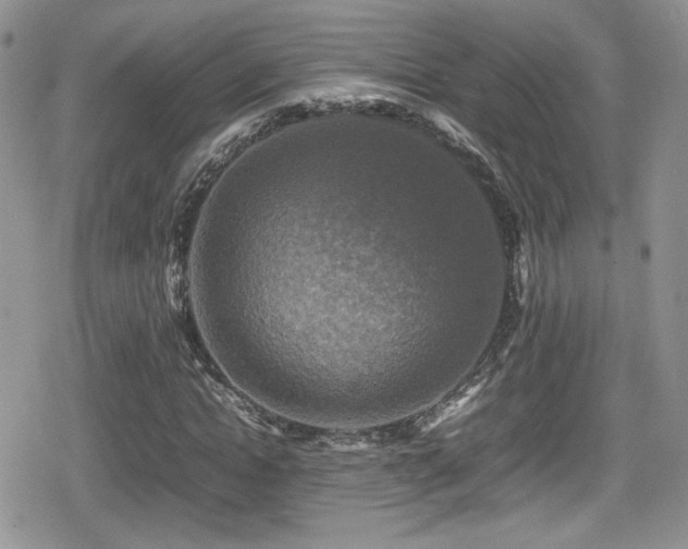 X0000080750822200612151312