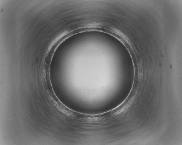 X0000080750827200612151312
