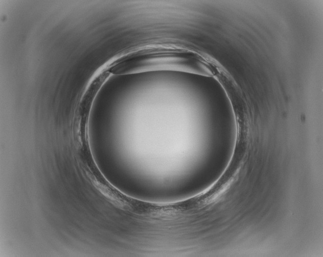 X0000080750830200612151312