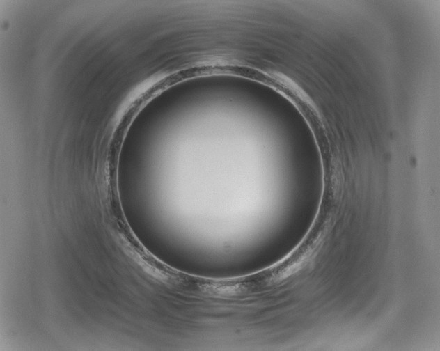 X0000080750831200612151312