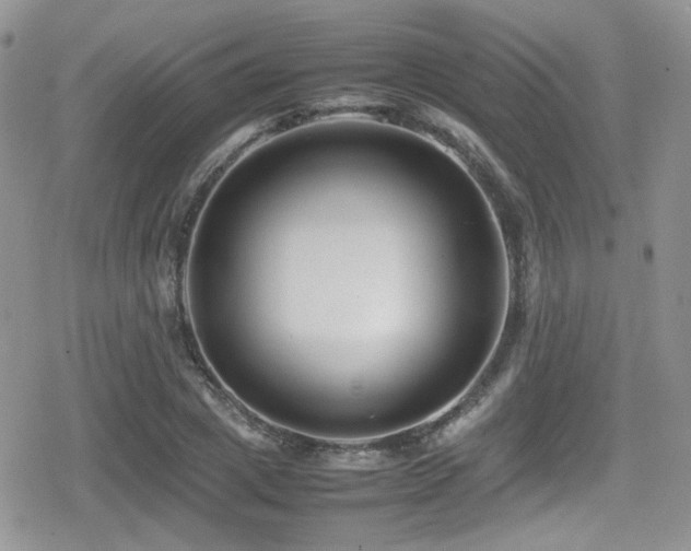 X0000080750833200612151312