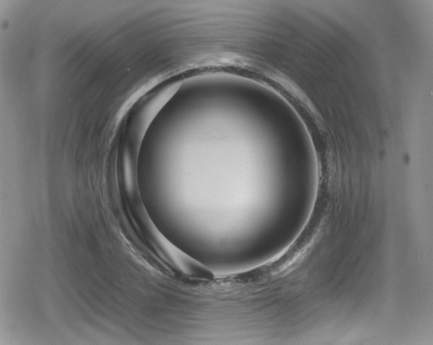 X0000080750834200612151312