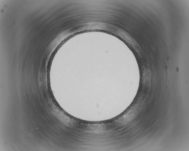 X0000080750836200612151312