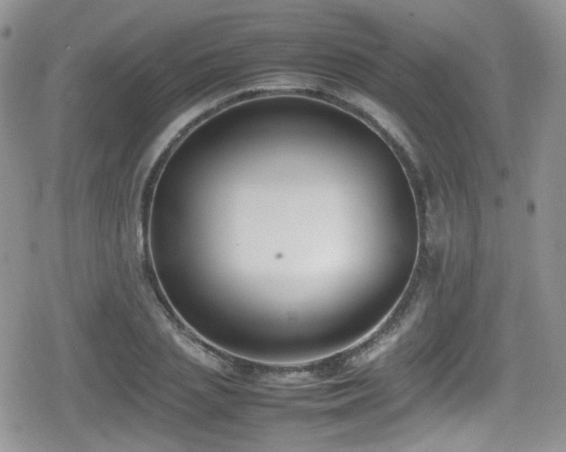 X0000080750837200612151312