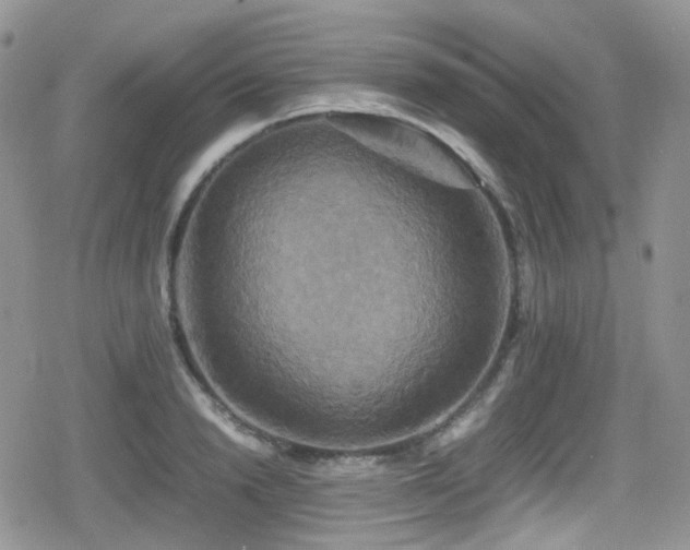 X0000080750846200612151312