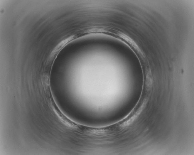 X0000080750849200612151312