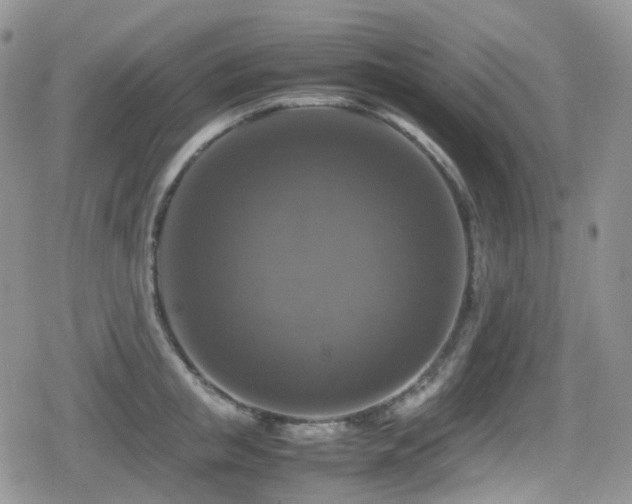X0000080750853200612151313