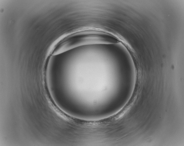 X0000080750854200612151313