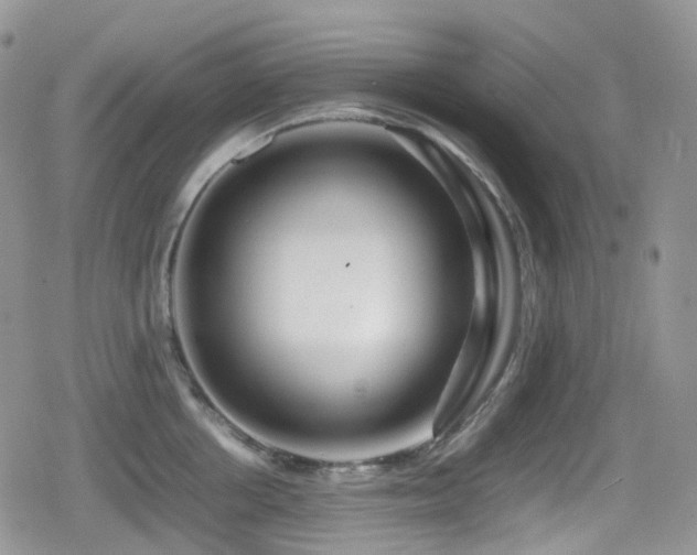 X0000080750858200612151313