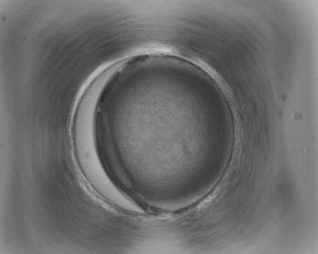 X0000080750864200612151313