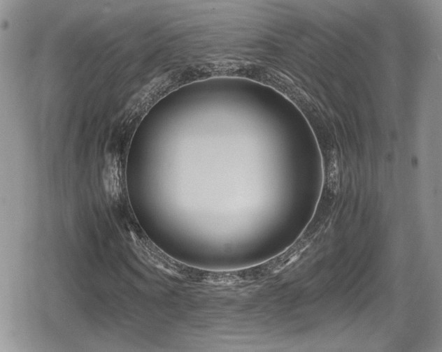 X0000080750866200612151312