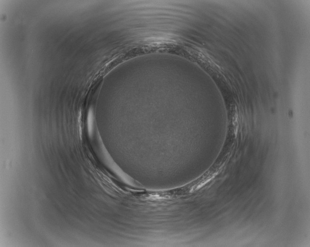 X0000080750868200612151312