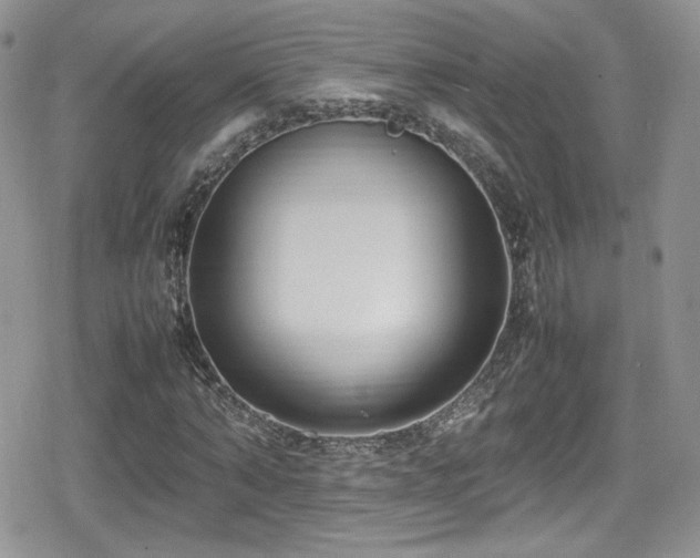 X0000080750870200612151312
