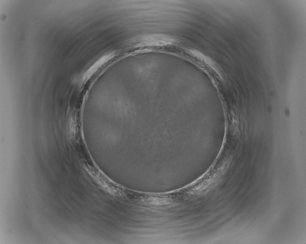 X0000080750874200612151312
