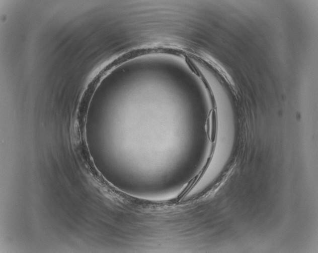 X0000080750876200612151312