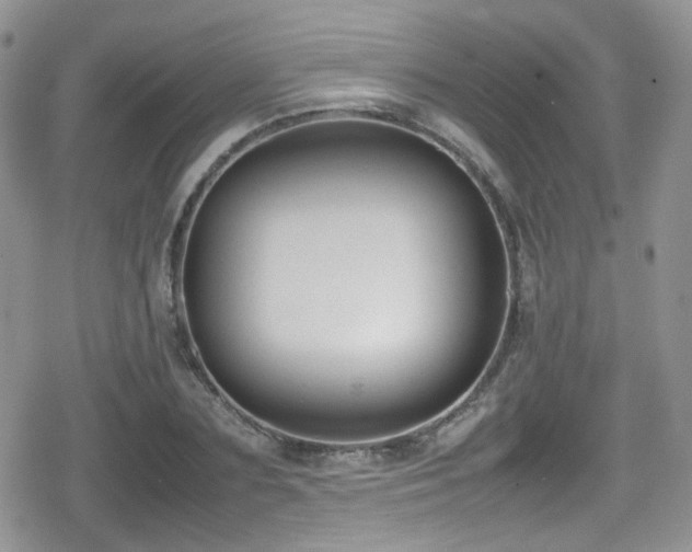 X0000080750883200612151312